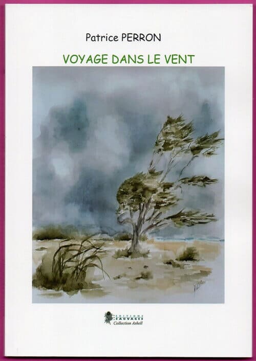 Couverture de "Voyage dans le vent" de Patrice Perron